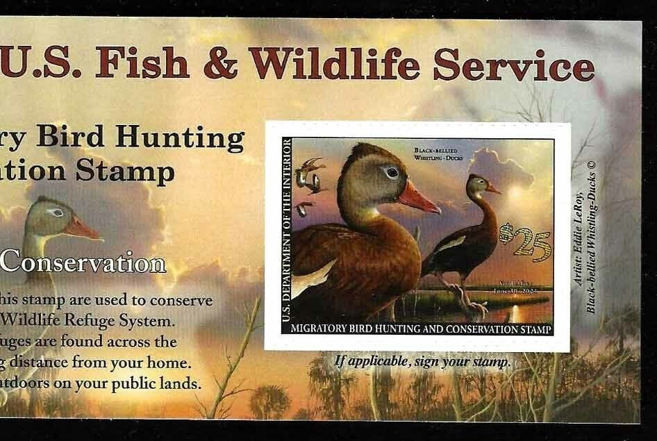 20202021 Federal Duck Stamp Etsy