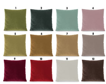 Pink, Green, Burgundy, Beige Velvet Decorative Pillow Cover. Accent throw pillow, home decor. 12x12 14x14 16x16 18x18 20x20 22x22 24x24