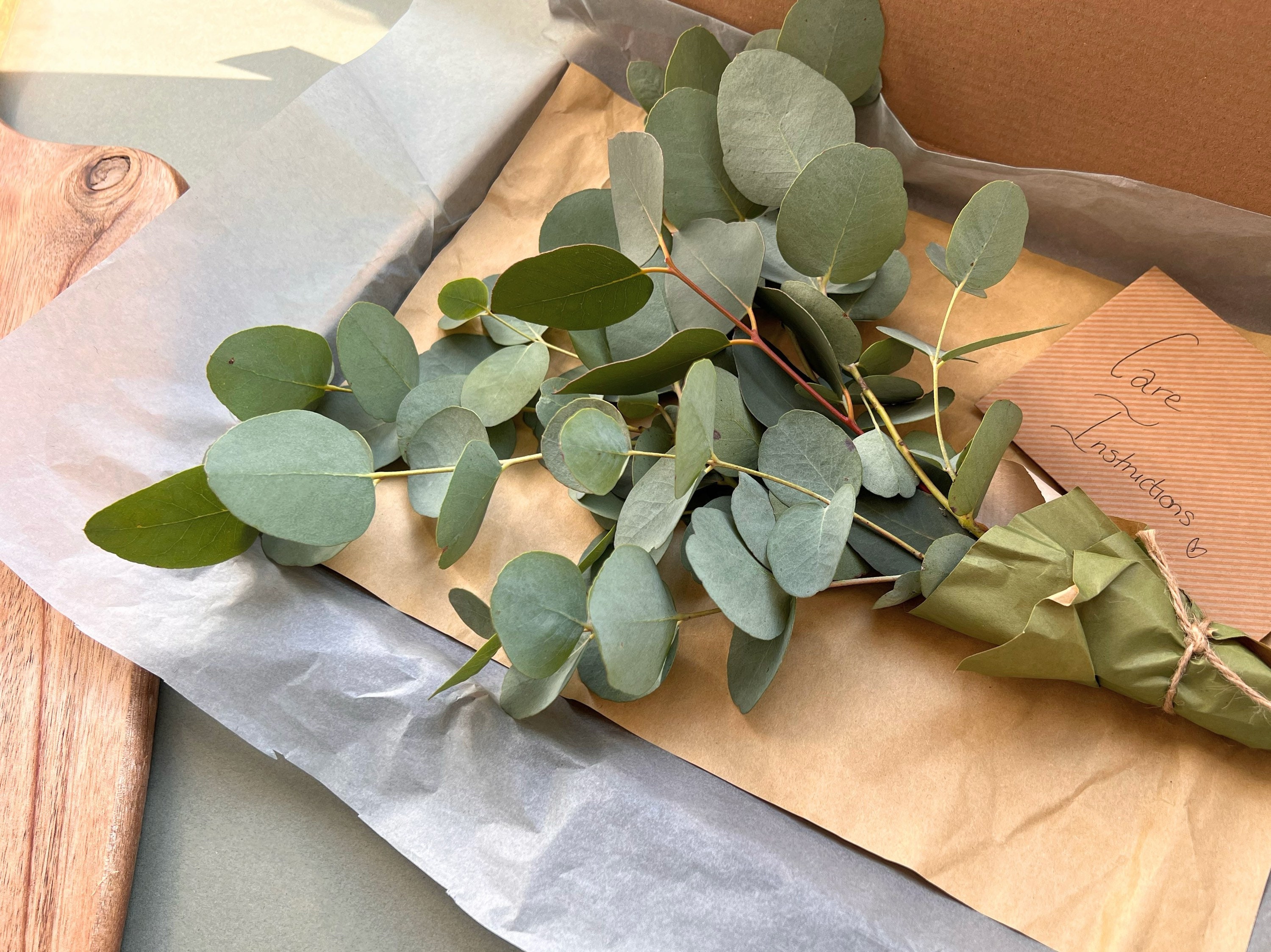 Fresh Bunch of Eucalyptus Letterbox Flowers Etsy UK
