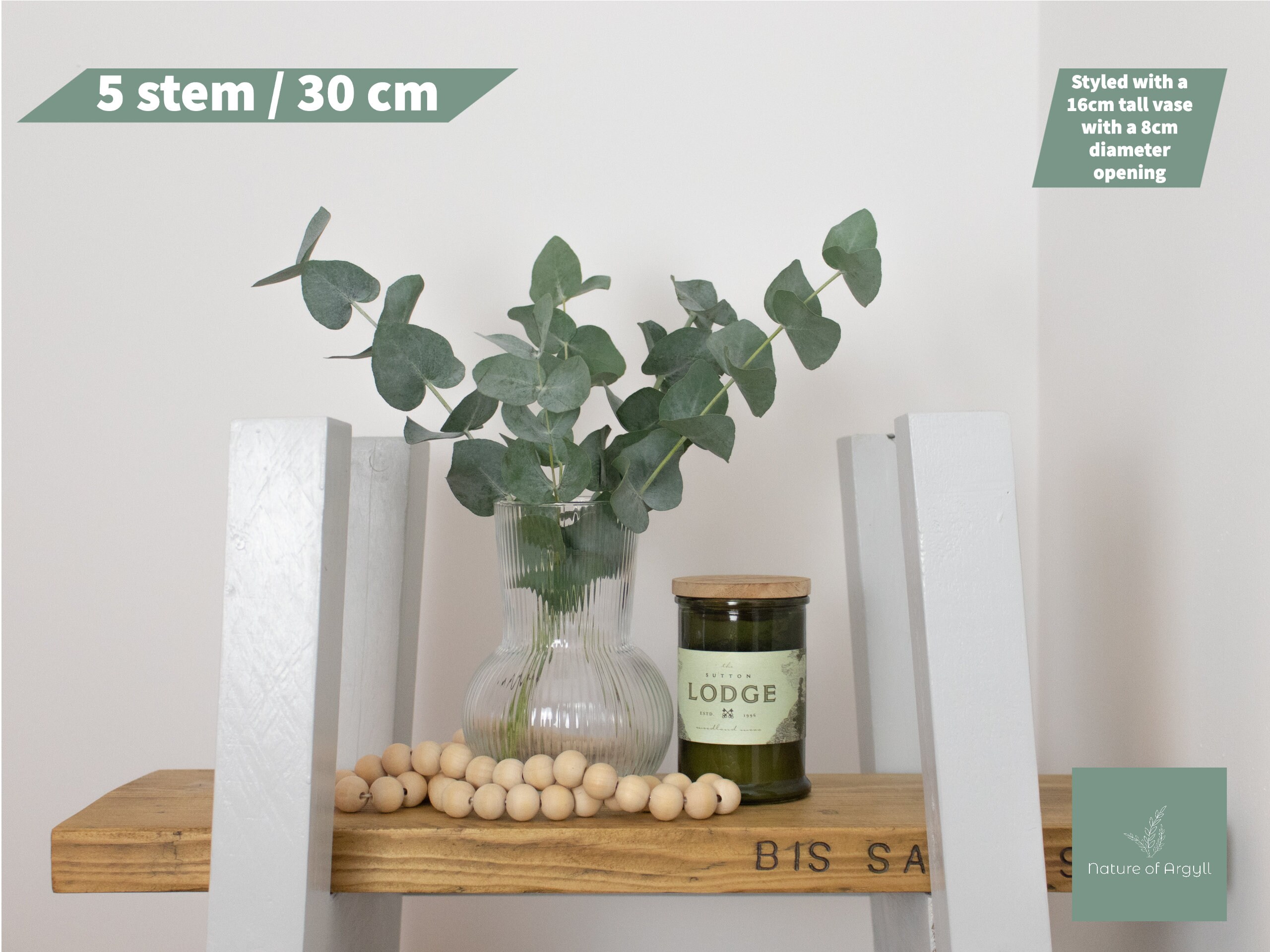 Eucalyptus Dried Flowers Letterbox Flowers Homedecor Etsy UK