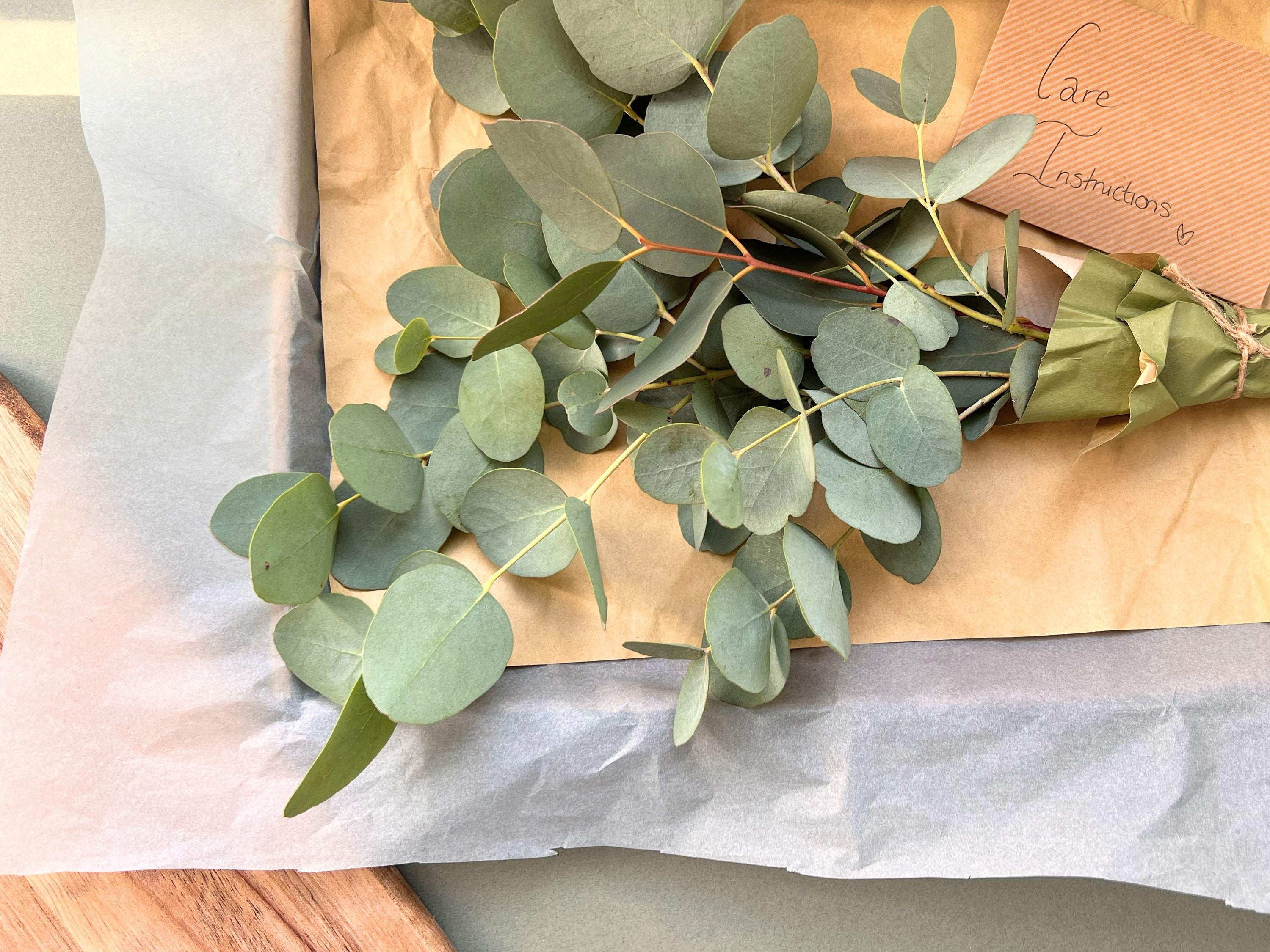 Fresh Bunch of Eucalyptus Letterbox Flowers Fresh Foliage Etsy UK