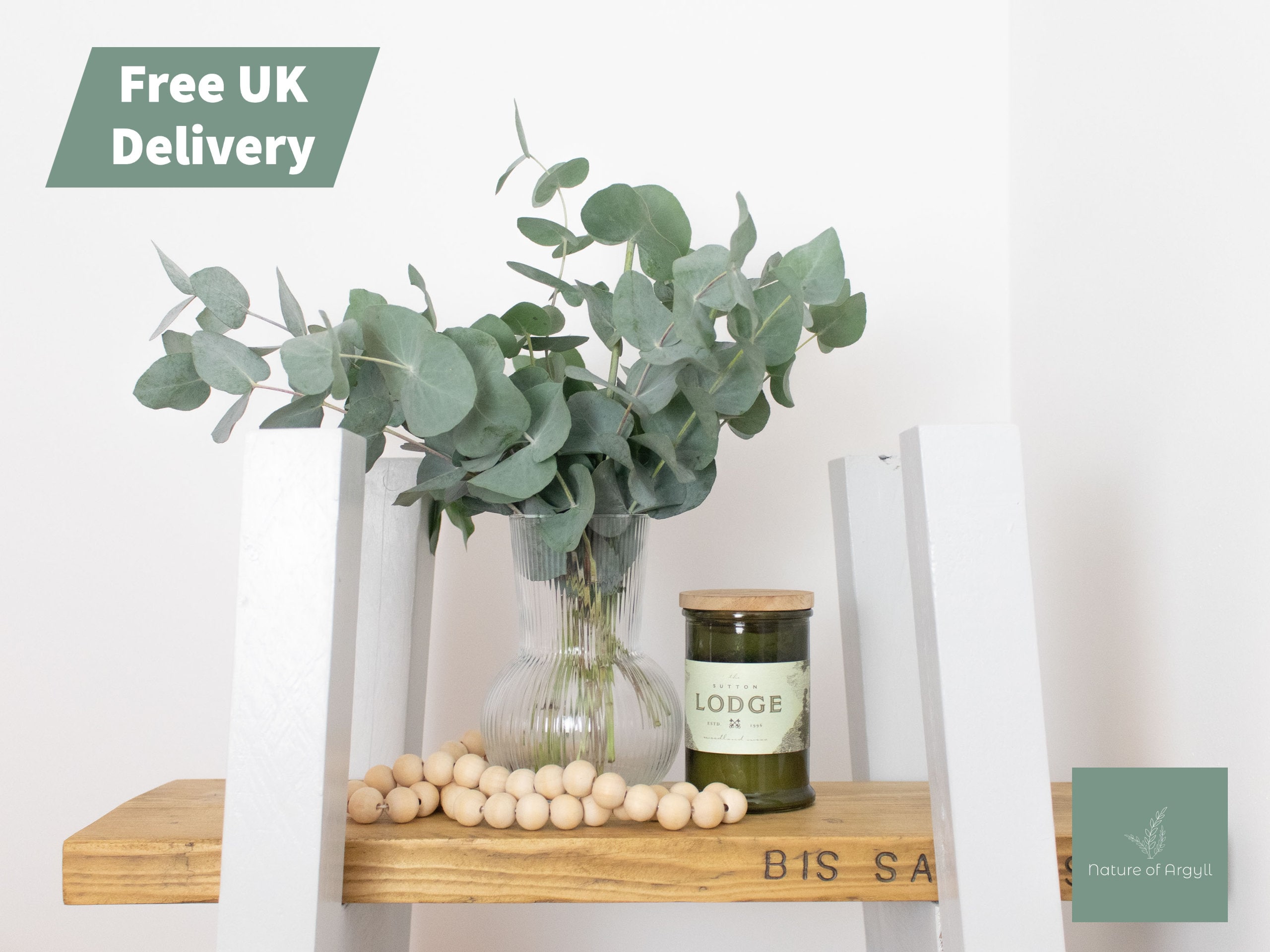 Eucalyptus Dried Flowers Letterbox Flowers Homedecor Etsy UK