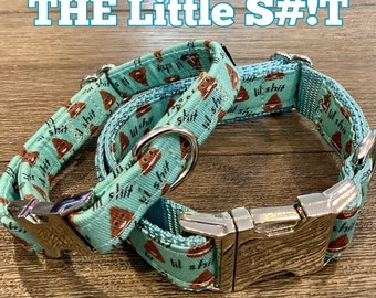 Funny Poop Emoji Dog Collar: Aqua Color, Swear Word Fabric Collar