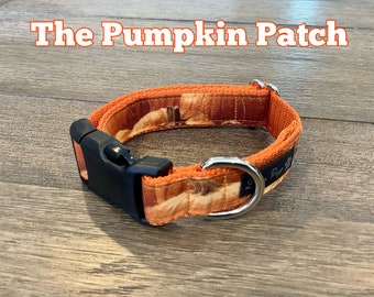 Fall Pumpkin Dog Collar: Autumn Thanksgiving Puppy Collar