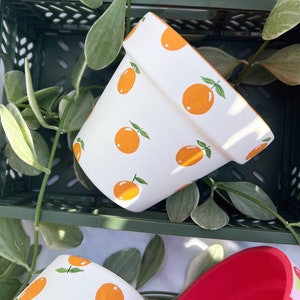 Hand Painted Oranges Design Indoor Plant Pot, Terracotta Planter, Flower Pot