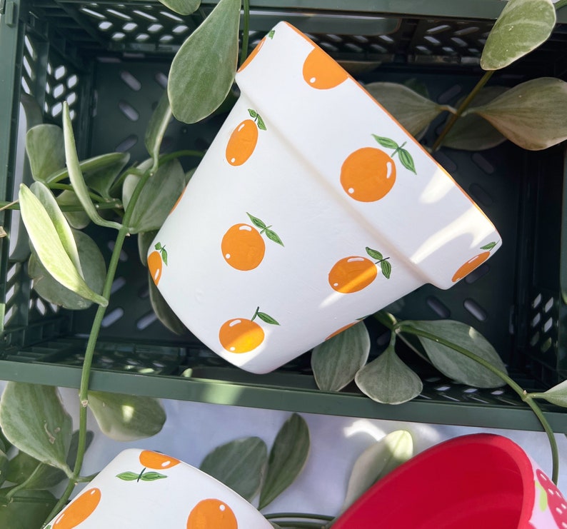 Puede incluir: Maceta de cer&aacute;mica blanca con un patr&oacute;n de naranja pintado a mano. La maceta est&aacute; sentada en una caja de pl&aacute;stico verde.