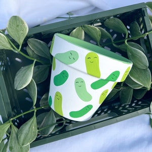 May include: A white ceramic plant pot with a green interior and a pattern of smiling green pickle-shaped designs. The pot is set in a dark green crate with green foliage.