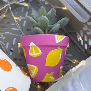 May include: A pink terracotta planter with a succulent plant. The planter is painted with a lemon pattern in yellow and white.