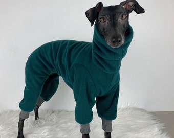 Warm fleece jumpsuit, Italian greyhound onesie, Iggy romper, Green teddy outfit