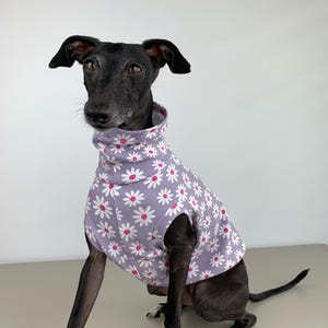 Italian greyhound tank top, Summer dog top, Iggy sleeveless jumper