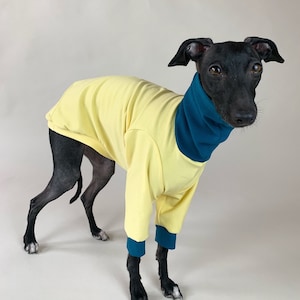 Association caritative ukrainienne, pull italien Greyhound, pull en coton, vêtements Iggy, tenue douce et chaude