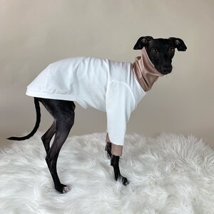 Pull lévrier italien, Pull en coton, Vêtements Iggy, Tenue douce et chaude