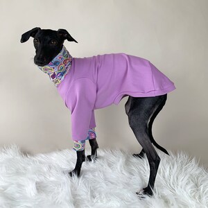Pull lévrier italien, Pull en coton, Vêtements Iggy, Tenue douce et chaude