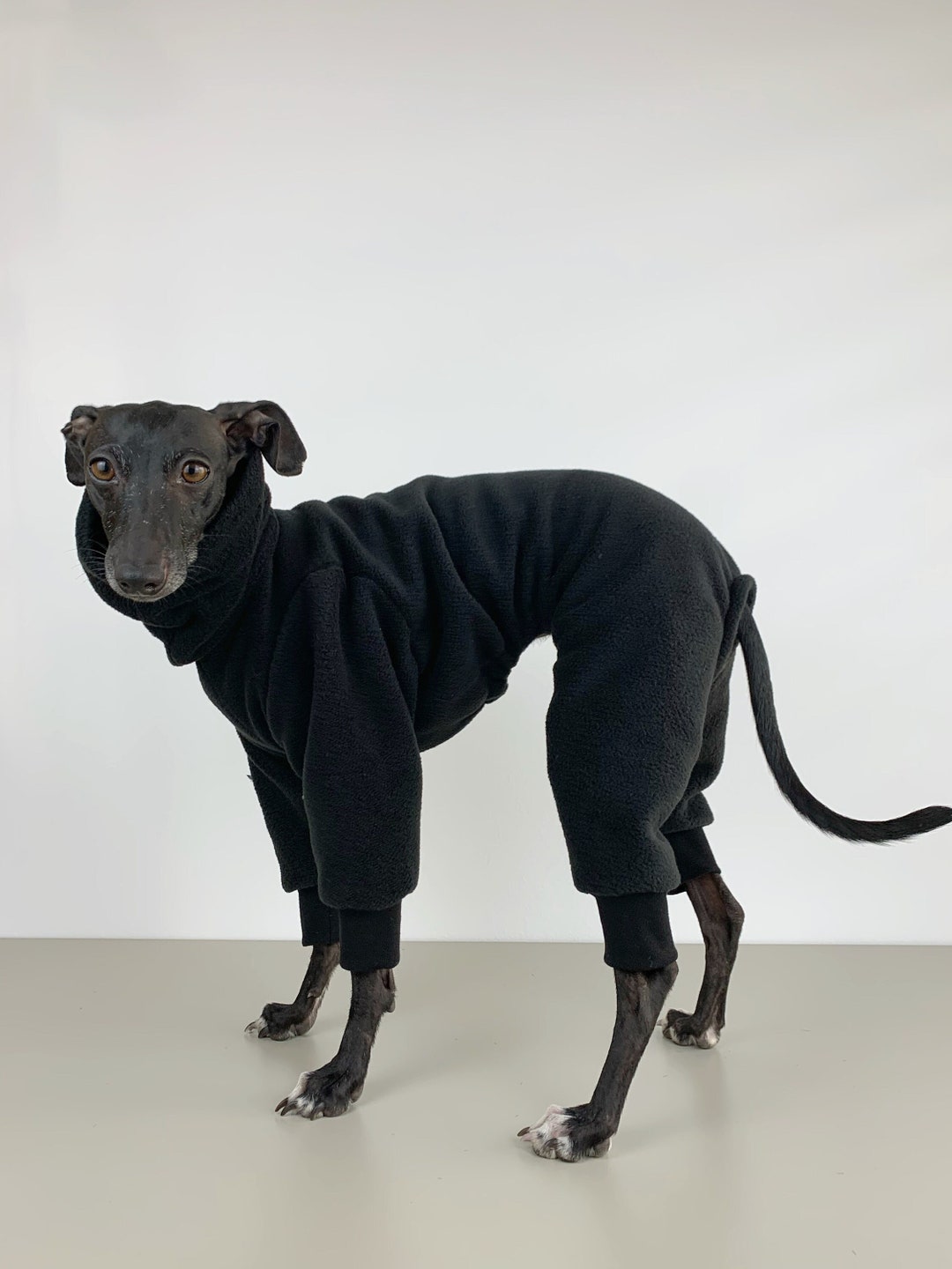 GREYHOUND ICE COMPRESSION SUIT