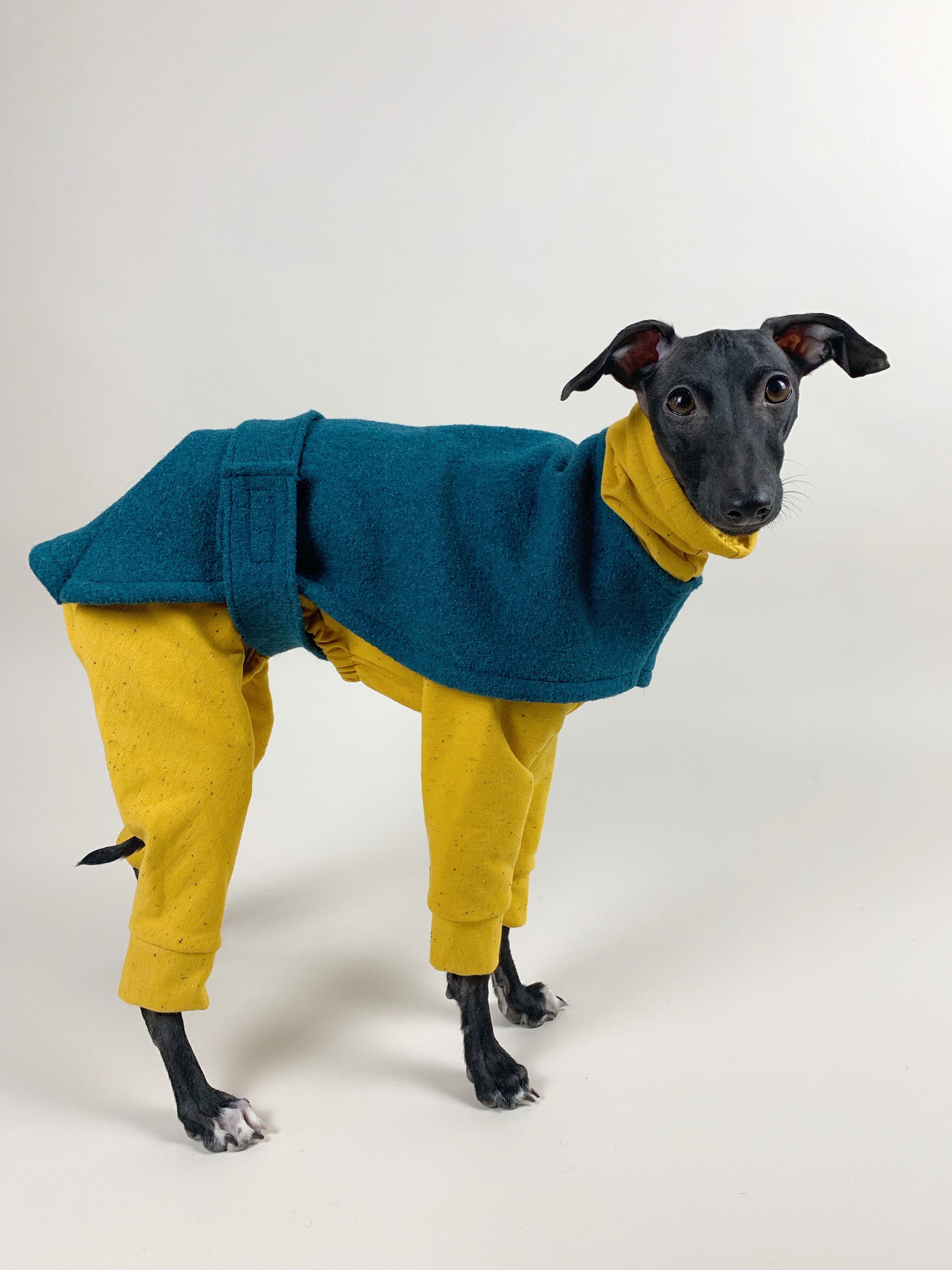 Italian Greyhound coat Warm winter jacket Soft and Cozy Etsy Polska