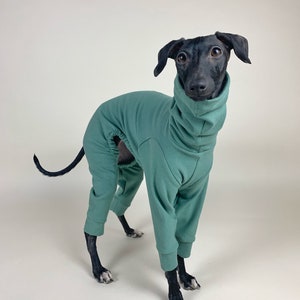 May include: A black Italian Greyhound dog wearing a teal blue hooded jumpsuit. The dog is standing on a white background and looking directly at the camera.