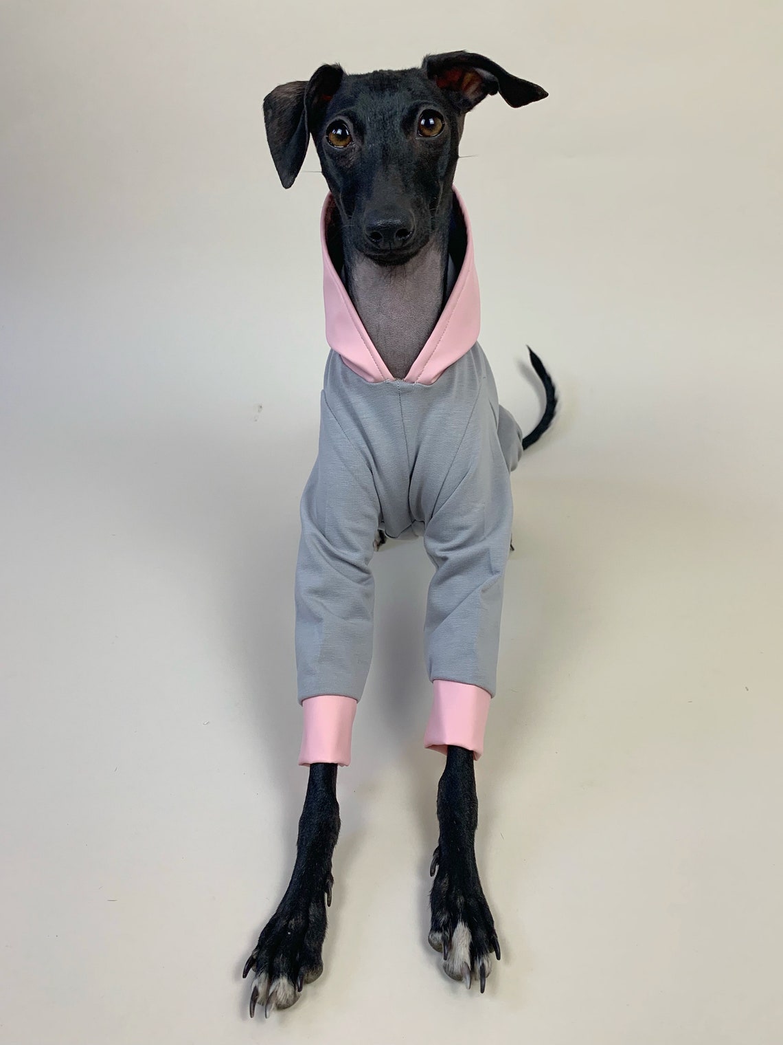 Italian Greyhound jumpsuit Iggy romper Soft stylish onesie Etsy