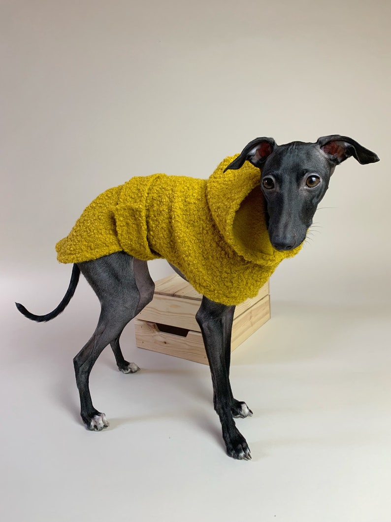 Italian Greyhound coat Winter jacket Cozy and Warm Etsy