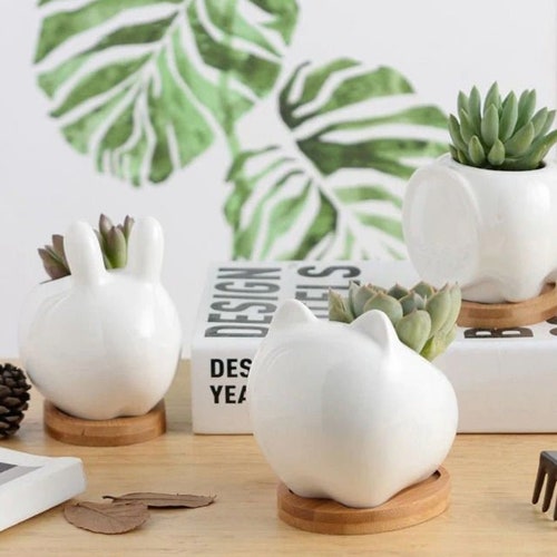 Cute Animal Planter, Bunny Planter, Cat Planter, Elephant Cache Pot de Fleur, Ceramic Planter,Mini Planter,Minimalist Planter,Succulent Pots