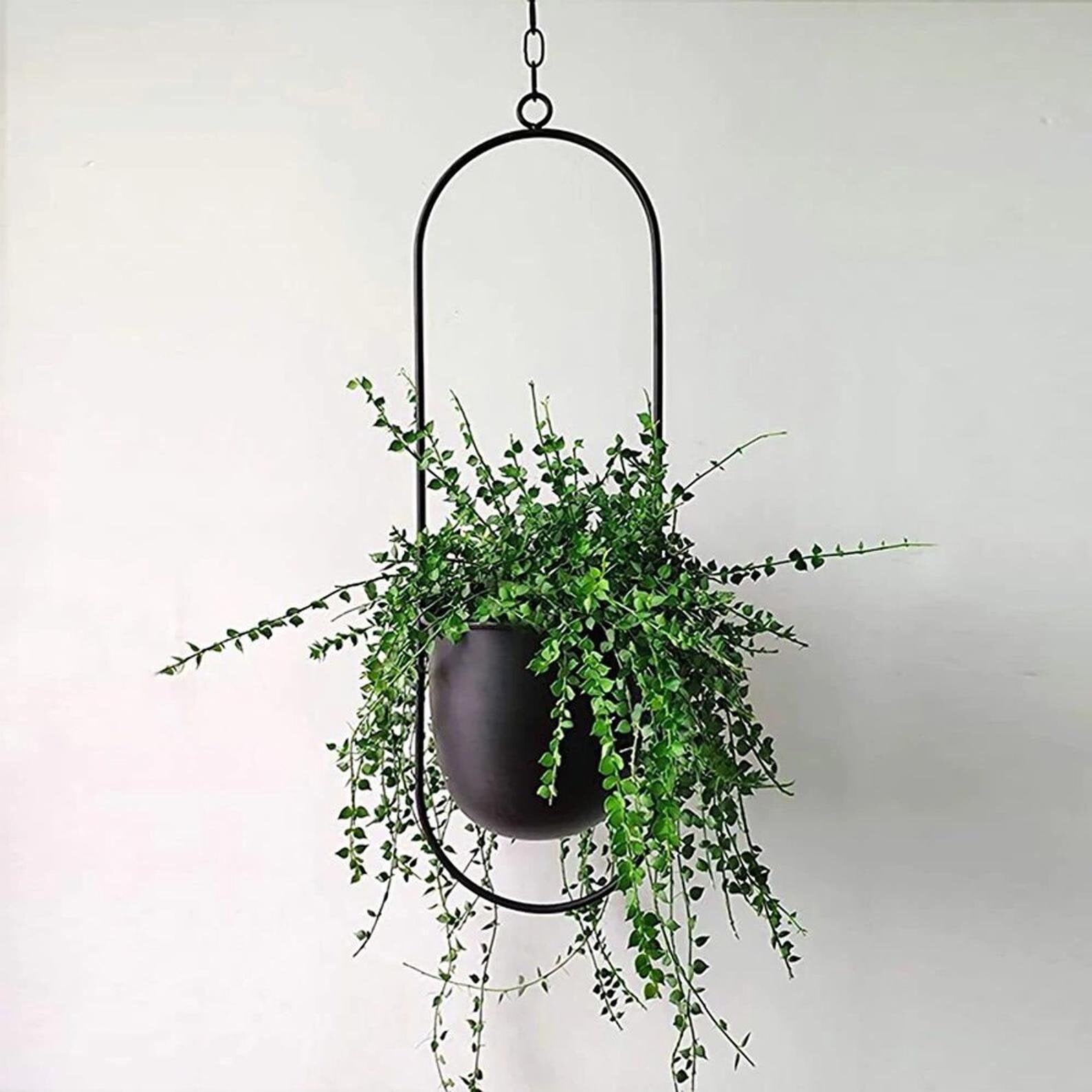 Black & Gold Metal Hanging Planter Indoor Hanging Wall Etsy