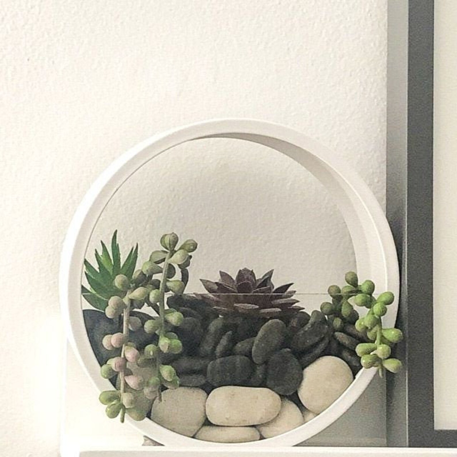 Hanging Round Wall Planter Indoor Round Planter Wall Hanging Etsy