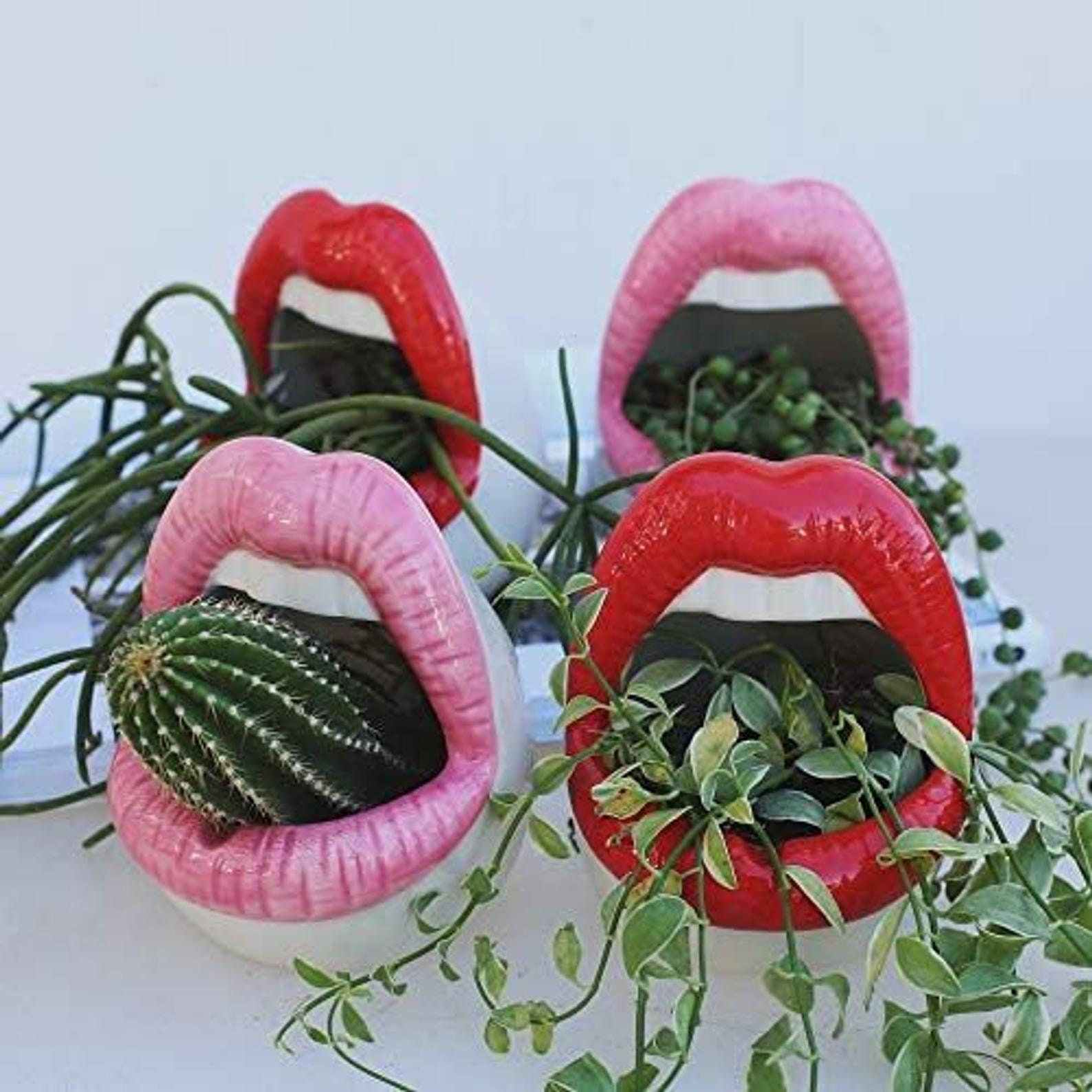 Succulent Red Lips Embroidery