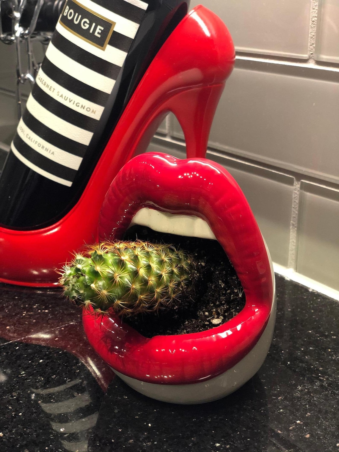 Lips succulent planter ceramic lips planter open mouth  etsy