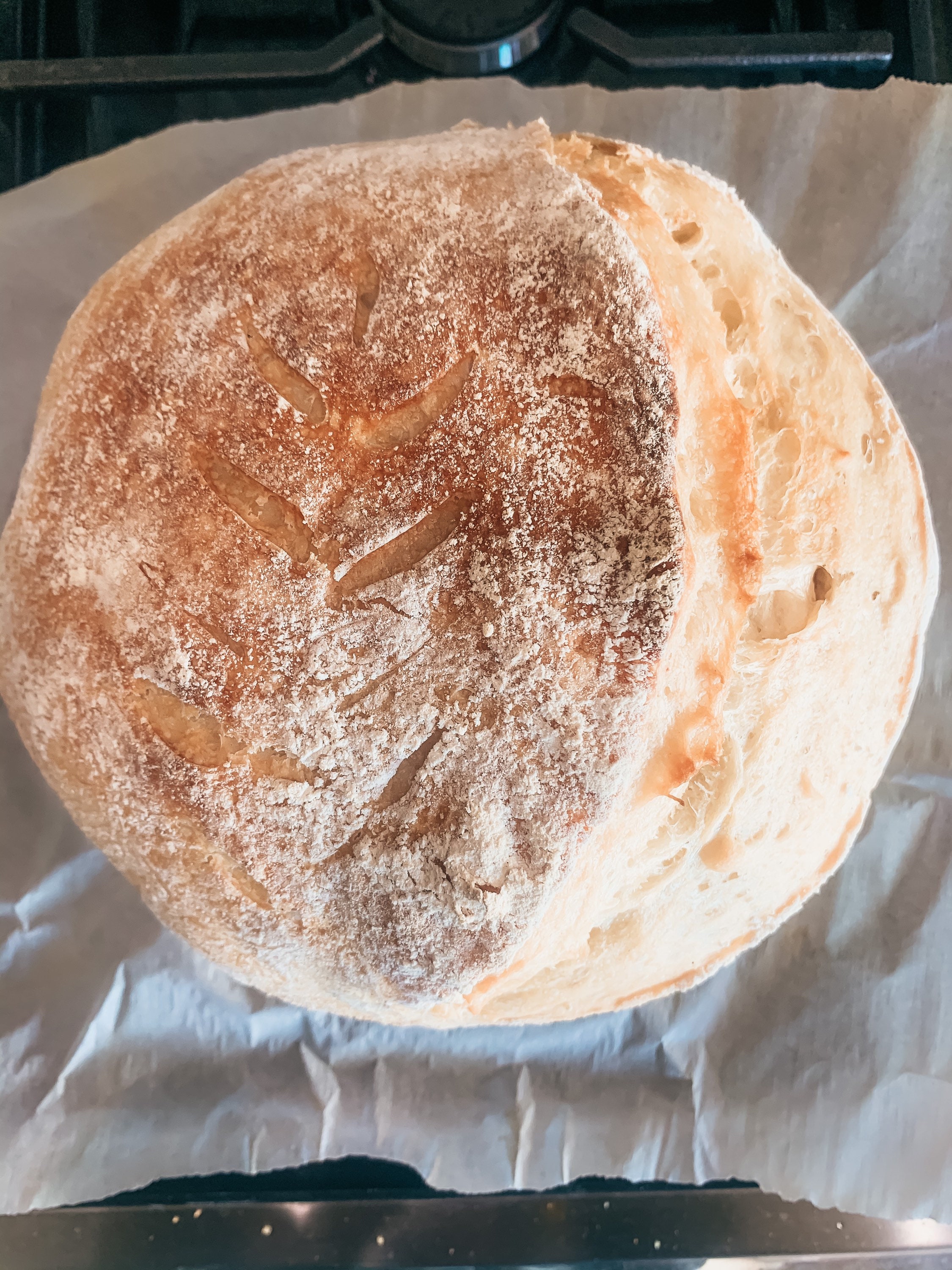 Sourdough Starter & Book — Happlilly Homesteading