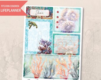 Notes Page June Coral Reef 7x9 Monthly Planner, Erin Condren, Printed Kit, Summer, Beach, Tropical, Ocean life, Vacation, Sea turtles