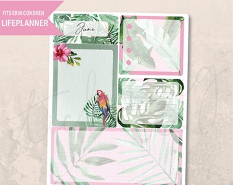 Notes Page June Rainforest 7x9 Monthly Planner, Erin Condren LifePlanner, Printed sticker, Parrots, Aesthetic, Tropical, Summer, Minimal A5