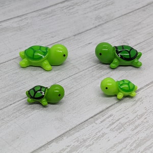 Turtle Magnet Set