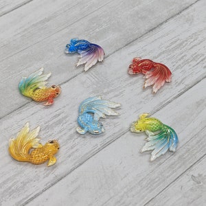 Beautiful Rainbow Fish Magnets - Set of 4
