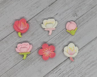 Cherry Blossom Blooms Magnets - Set of 5