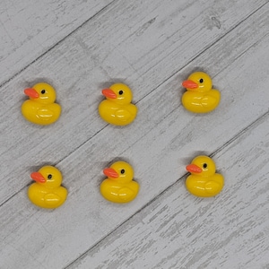 Rubber Ducky Magnet Set