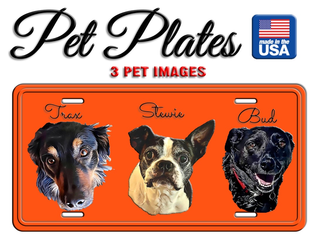 License Plate 3 Pets, 3 Pet License Plate, Pet License Plate, Pet Gift