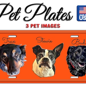 License Plate 3 Pets, 3 Pet License Plate, Pet License Plate, Pet Gift, Auto Plate, Fun License Plate, Bedroom Sign, License Plate Custom