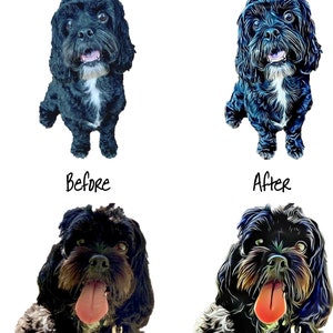 May include: Before and after images of a black dog with white markings. The dog is sitting and looking at the camera. The before image shows the dog in a natural setting, while the after image shows the dog with a more stylized, artistic look.