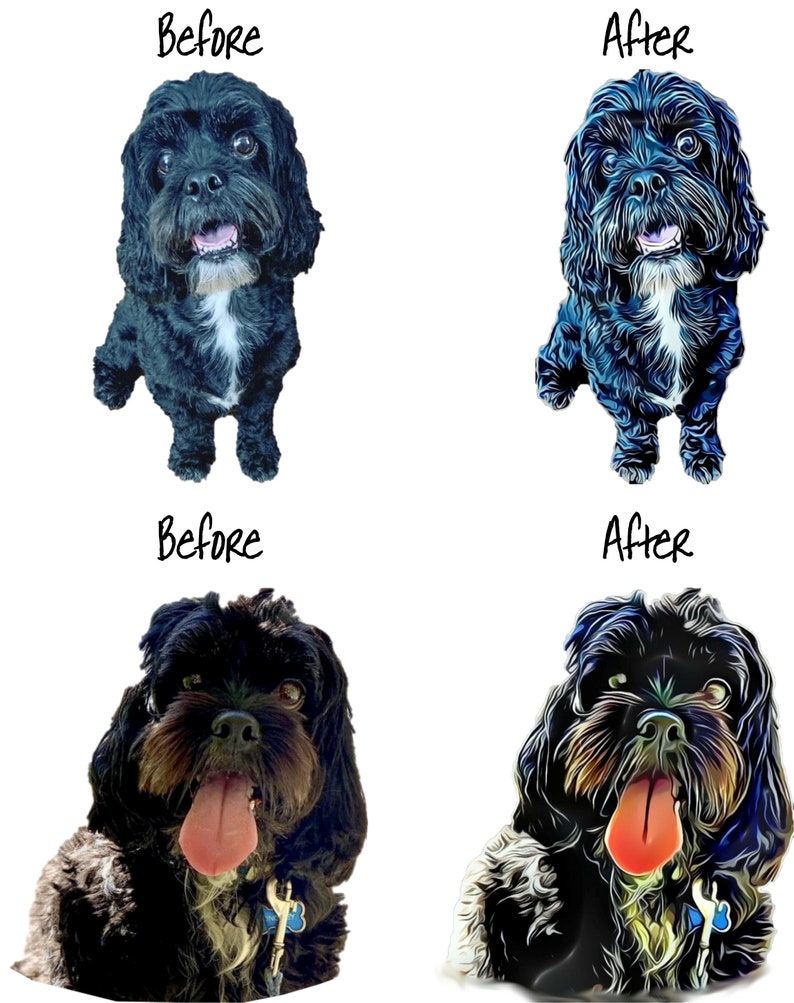 May include: Before and after images of a black dog with white markings. The dog is sitting and looking at the camera. The before image shows the dog in a natural setting, while the after image shows the dog with a more stylized, artistic look.