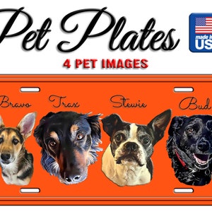 License Plate 4 Pets, 4 Pet License Plate, Pet License Plate, Pet Gift, Auto Plate, Fun License Plate, Bedroom Sign, License Plate Custom
