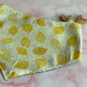 Main Squeeze // Dog Bandana // Every Day Wear // Summer
