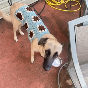 Dog Sweater Upcycle- repurposed from a vintage crochet blanket - blue / brown / cream