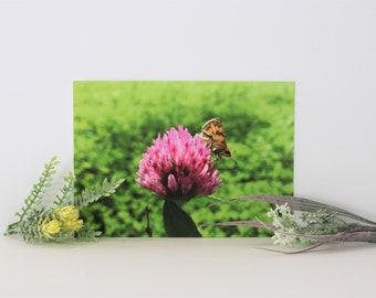 Schmetterlingsfotografie, Muttertagsgeschenk, Geschenk zur Wohnungserwärmung, Fotodruck, Blume, Schmetterlingsgeschenke, Wandkunst