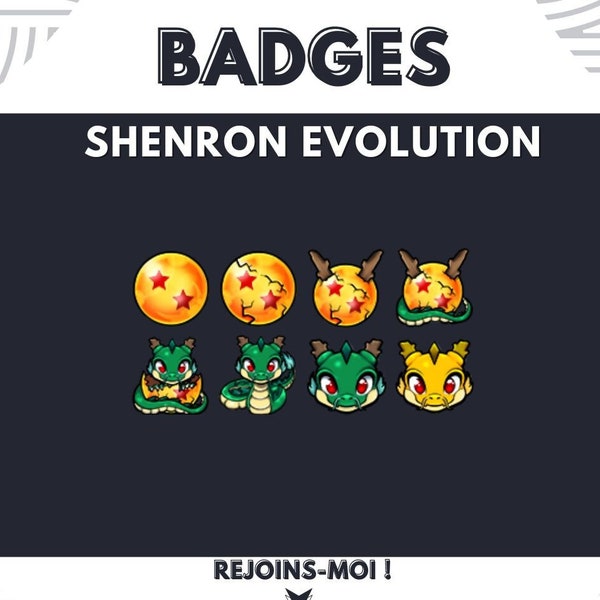 BADGES SUB/BITS : Shenron Evolution