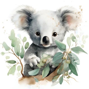 Op de afbeelding: Een aquarel schilderij van een schattige koalabeer die in een eucalyptusboom zit. De koala is grijs met een zwarte neus en bruine ogen. De eucalyptusbladeren zijn groen en de achtergrond is wit.