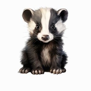 Può includere: Un'illustrazione carina in stile cartone animato di un tasso con pelliccia bianca e nera. Il tasso è seduto con le zampe ripiegate davanti a sé e ha un'espressione amichevole sul viso.