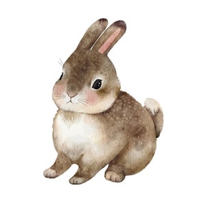 Op de afbeelding: Waterverfillustratie van een bruin konijn met roze oren en roze wangen. Het konijn is afgebeeld in een zittende positie, met een pluizige staart en een zacht, getextureerd uiterlijk. De illustratie staat tegen een witte achtergrond.
