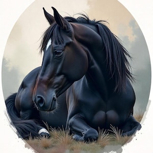 Könnte beinhalten: Ein schwarzes Pferd mit einem weißen Stern auf der Stirn liegt in einem Feld mit hohem Gras. Das Pferd hat eine lange, fließende Mähne und einen langen Schwanz.