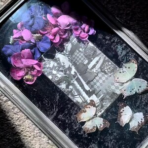 May include: A rectangular, framed display case with a glass top. Inside, a black velvet background holds a black and white photograph, purple and pink flowers, and several butterfly decorations. The frame is a light gray color.