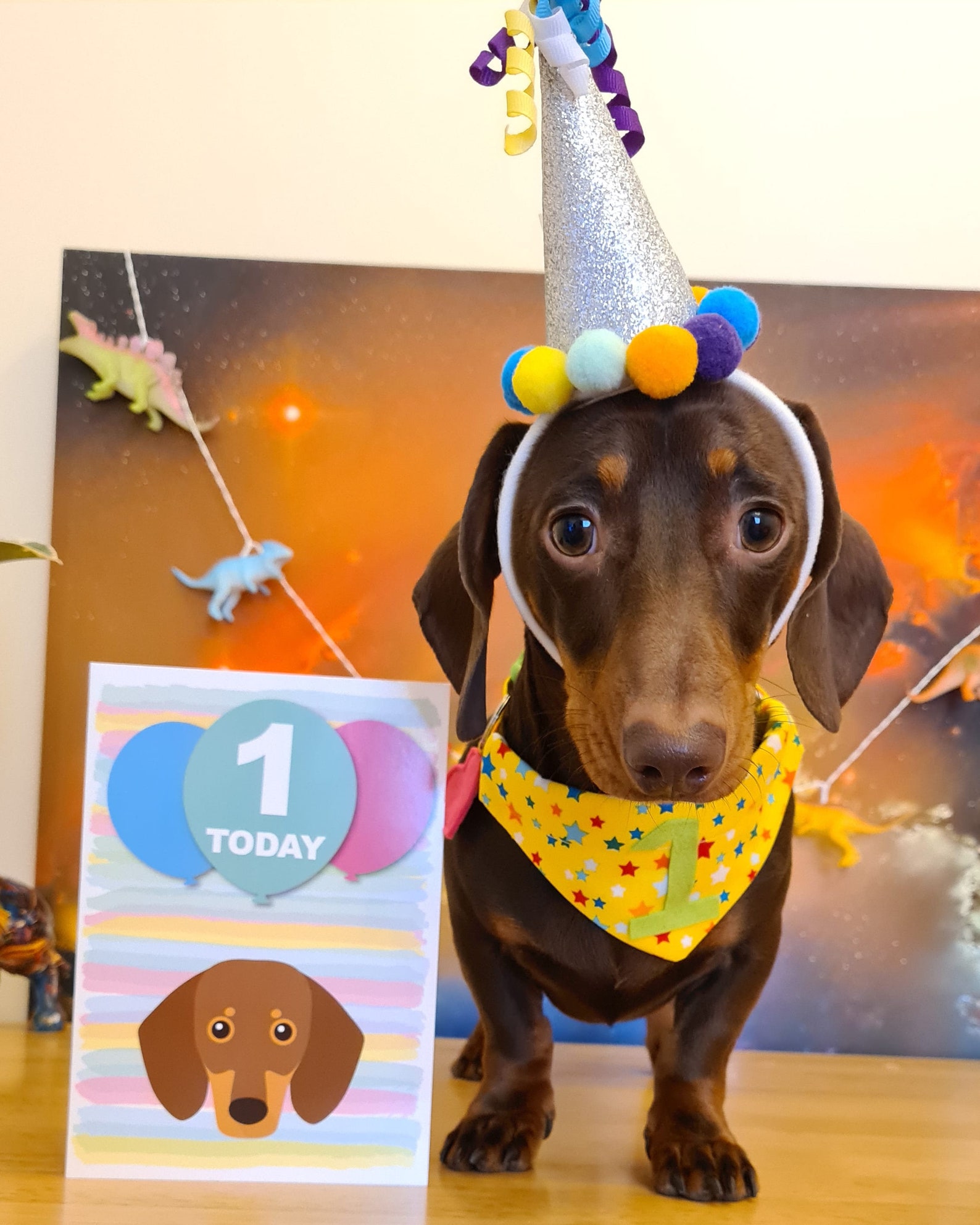 Dog Birthday Bandana Etsy