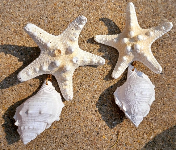 Giant sea shell variety earrings xl 5 inch pierce… - image 2